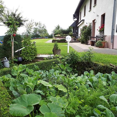 Ferienwohnung Huegelhaus Plütscheid Eksteriør billede